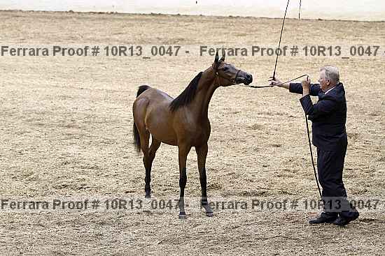 Proof 10r13_0047