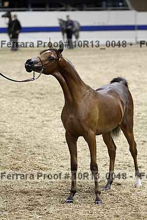 Proof 10r13_0048