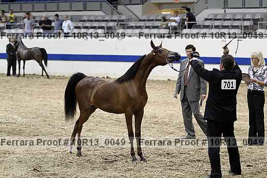 Proof 10r13_0049
