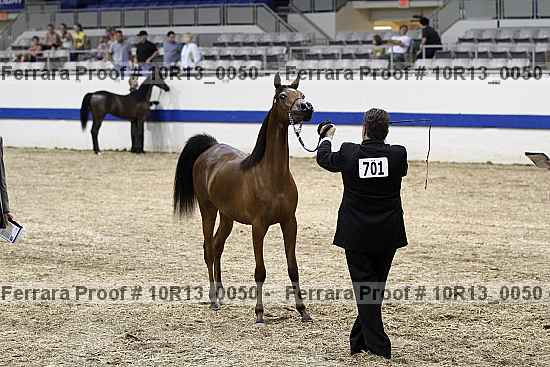 Proof 10r13_0050