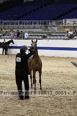 Proof 10r13_0051