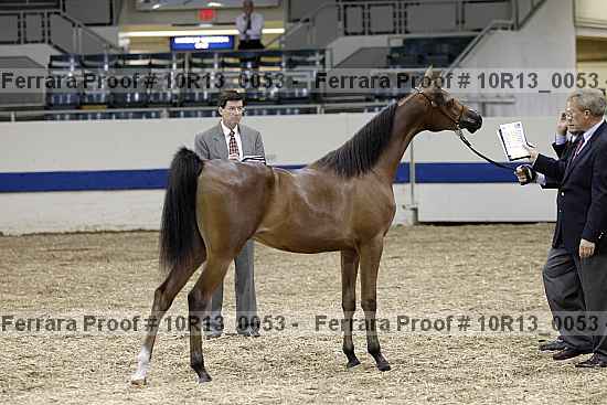Proof 10r13_0053