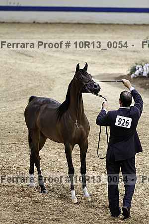 Proof 10r13_0054