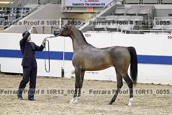Proof 10r13_0055