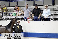 10r13_0057 proof