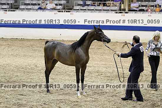 Proof 10r13_0059