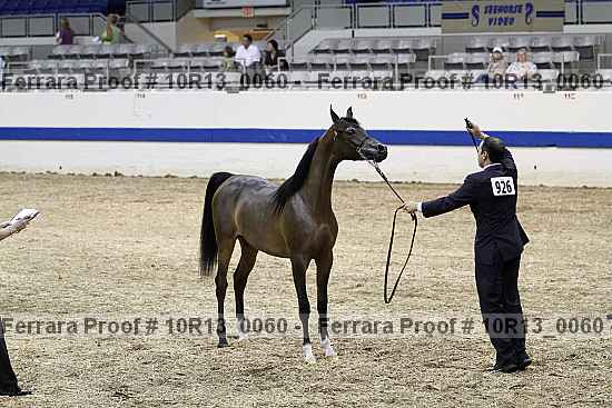 Proof 10r13_0060
