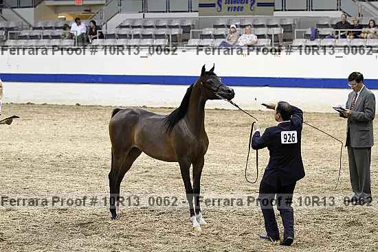 Proof 10r13_0062