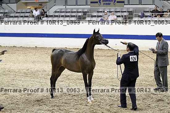 Proof 10r13_0063