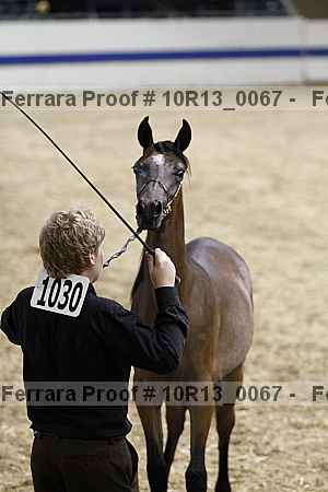 Proof 10r13_0067