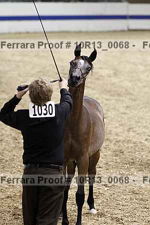 Proof 10r13_0068