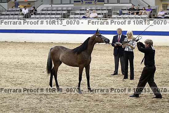 Proof 10r13_0070