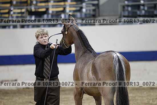 Proof 10r13_0072