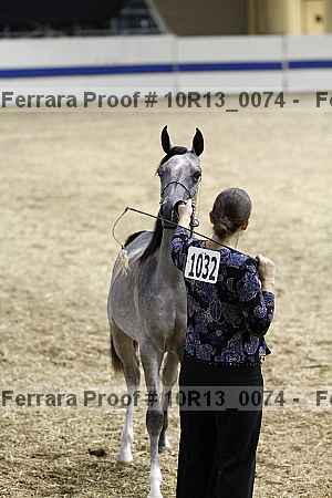 Proof 10r13_0074