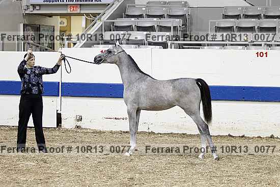 Proof 10r13_0077