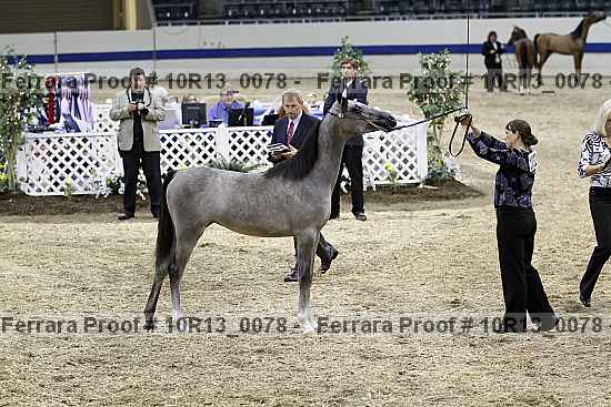 Proof 10r13_0078