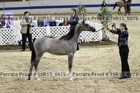 Proof 10r13_0079