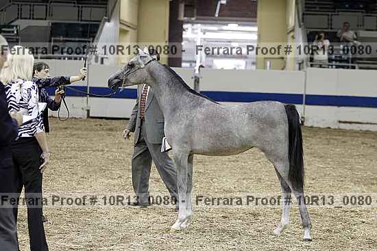 Proof 10r13_0080