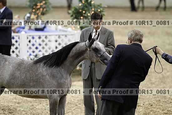 Proof 10r13_0081