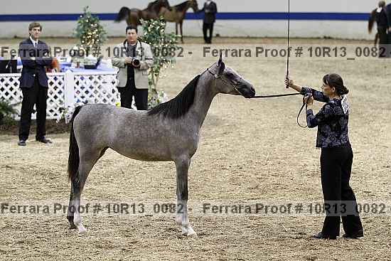 Proof 10r13_0082