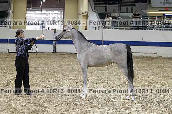Proof 10r13_0084