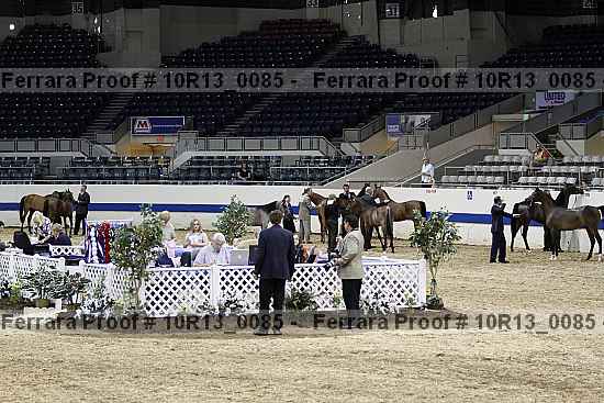 Proof 10r13_0085