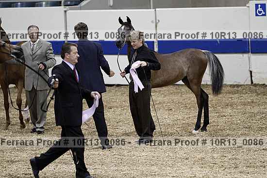 Proof 10r13_0086
