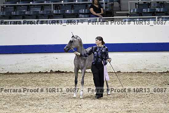 Proof 10r13_0087