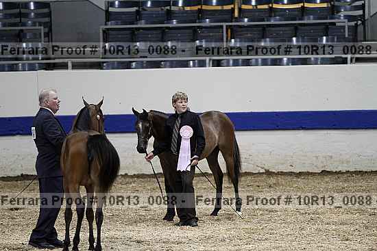 Proof 10r13_0088