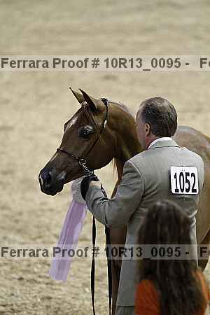 Proof 10r13_0095
