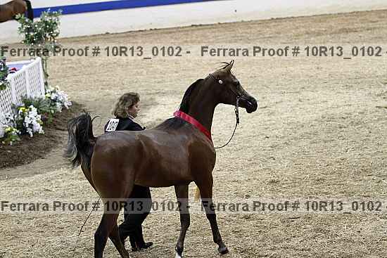 Proof 10r13_0102