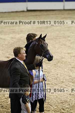 Proof 10r13_0105