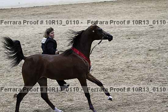 Proof 10r13_0110