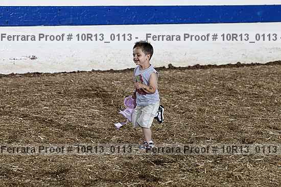 Proof 10r13_0113