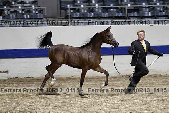 Proof 10r13_0115