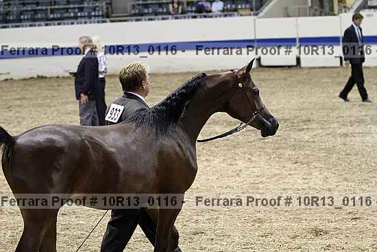 Proof 10r13_0116