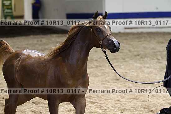 Proof 10r13_0117