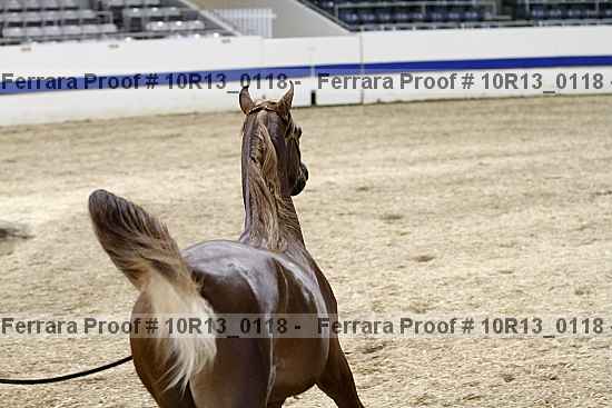 Proof 10r13_0118