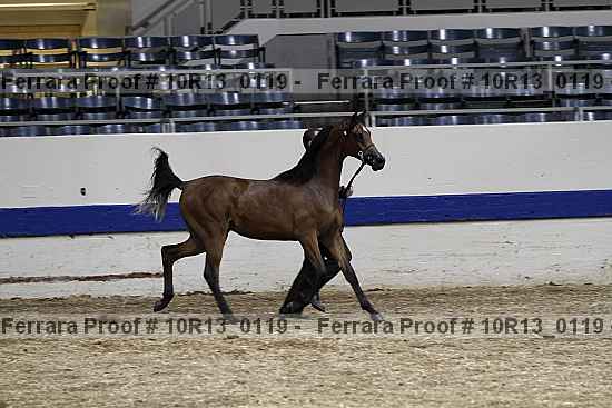 Proof 10r13_0119