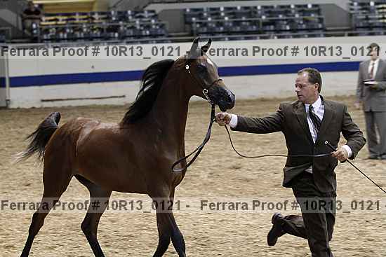 Proof 10r13_0121