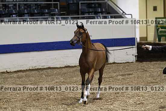 Proof 10r13_0123