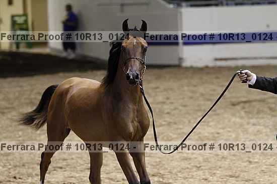 Proof 10r13_0124