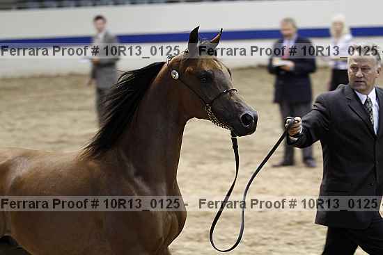 Proof 10r13_0125