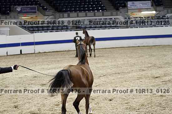 Proof 10r13_0126