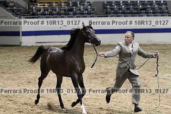Proof 10r13_0127