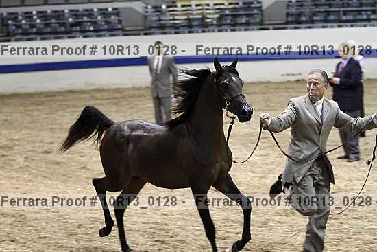 Proof 10r13_0128