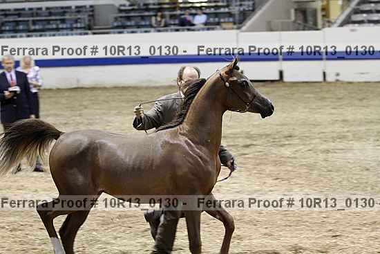 Proof 10r13_0130