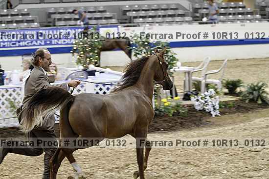 Proof 10r13_0132