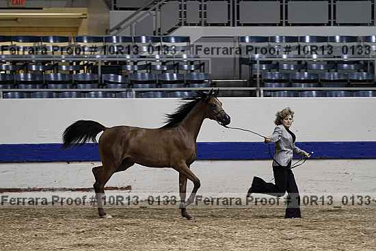 Proof 10r13_0133