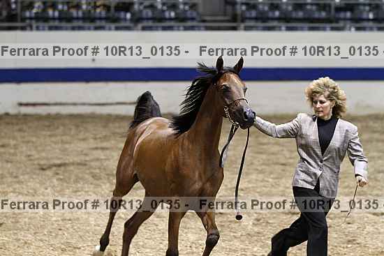 Proof 10r13_0135
